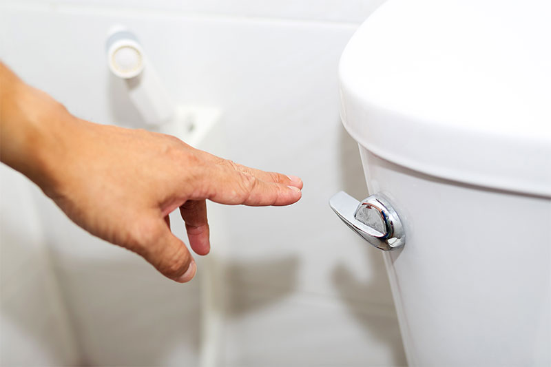 We flush the toilet with our fingertips