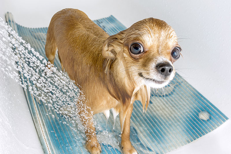 Not Showering With A Shower Mat