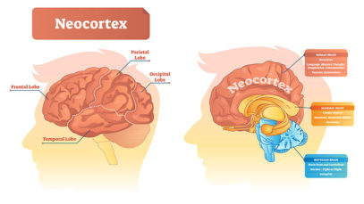 10 Everyday Habits of People with an Impressive Memory