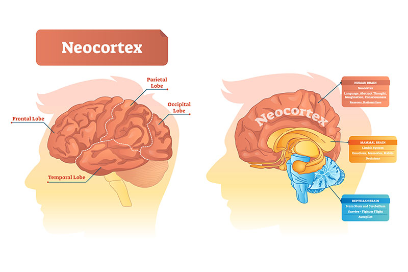 10 Everyday Habits of People with an Impressive Memory