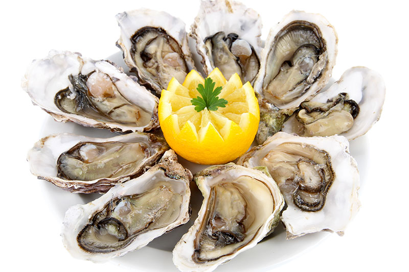 Other Sea Foods oysters