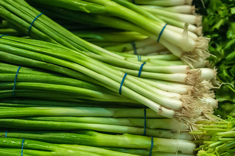 Green Onions