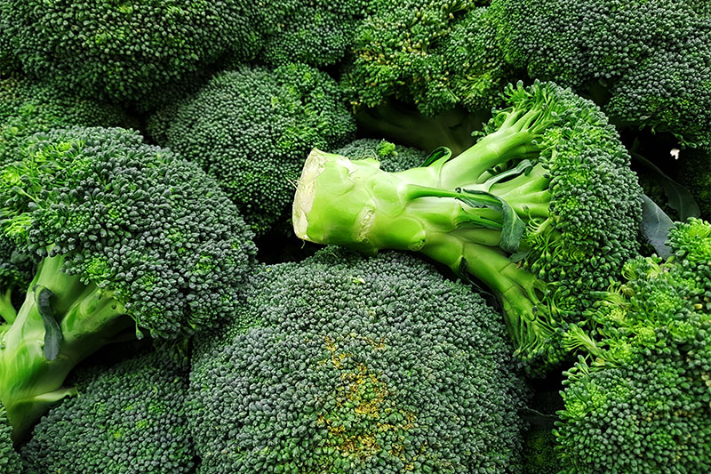 Broccoli