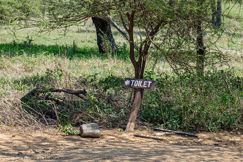 Prepare To Take Extreme Measures bush toilet