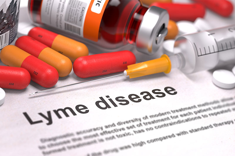 Lyme Disease