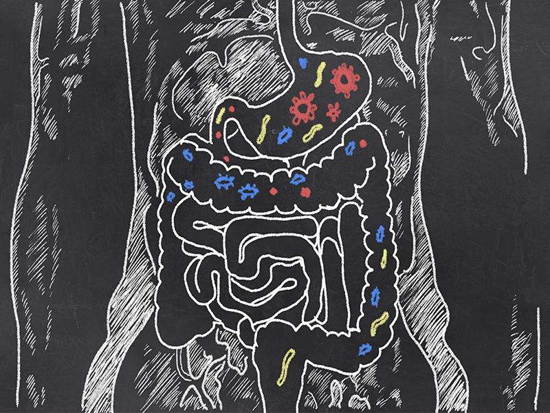 Your gut bacteria is imbalanced