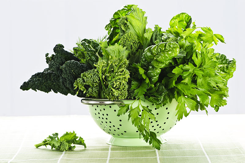 Fresh Green Leafy Vegetables