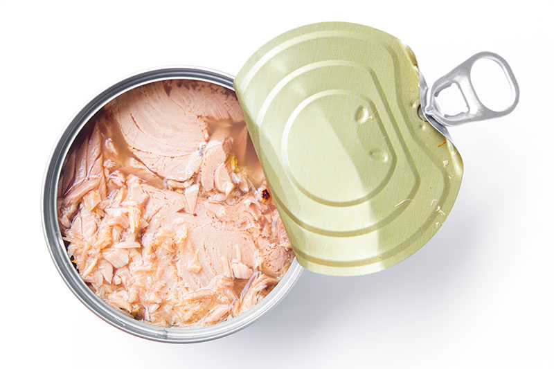 Canned Fish tuna