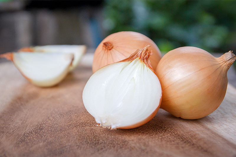 Onions Help Prevent Particular Cancers