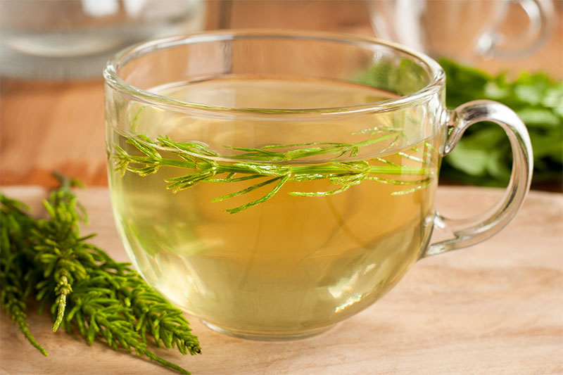 Horsetail Tea