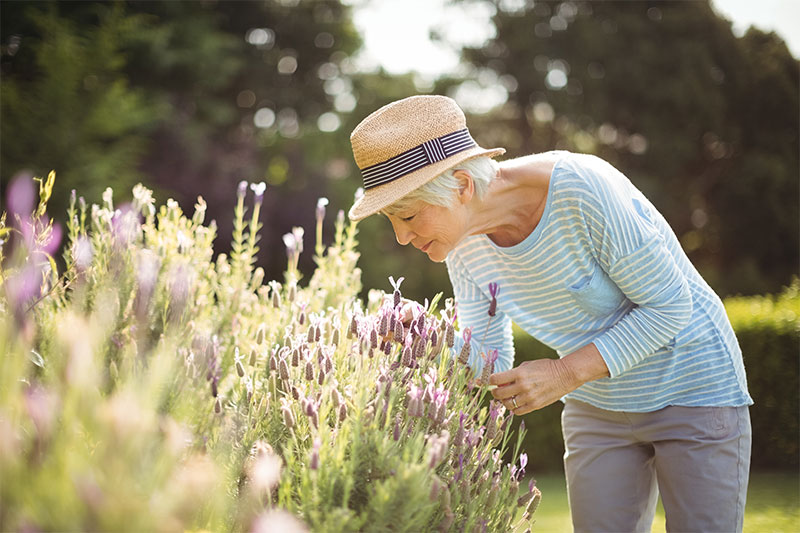 Gardening Keeps You Fit