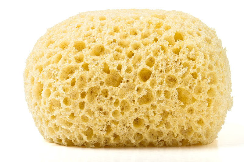 Bath Sponge